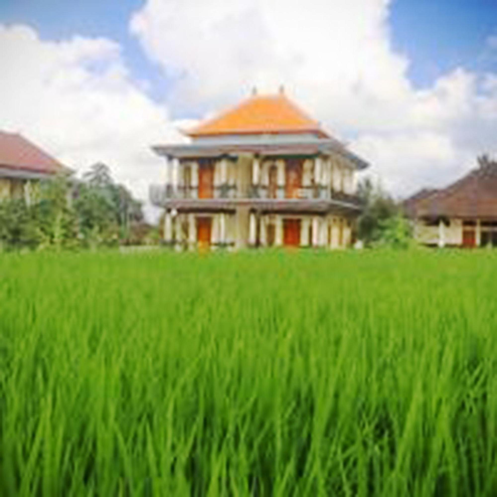 Puri Prana Guest House Ubud Zewnętrze zdjęcie
